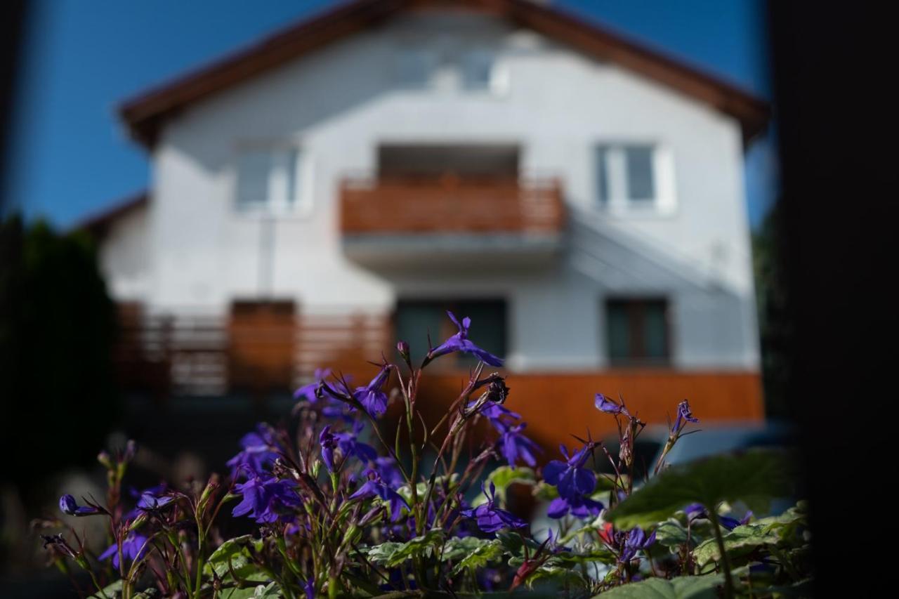 Apartamenty Karkonosze Gory Izerskie Piechowice  Esterno foto